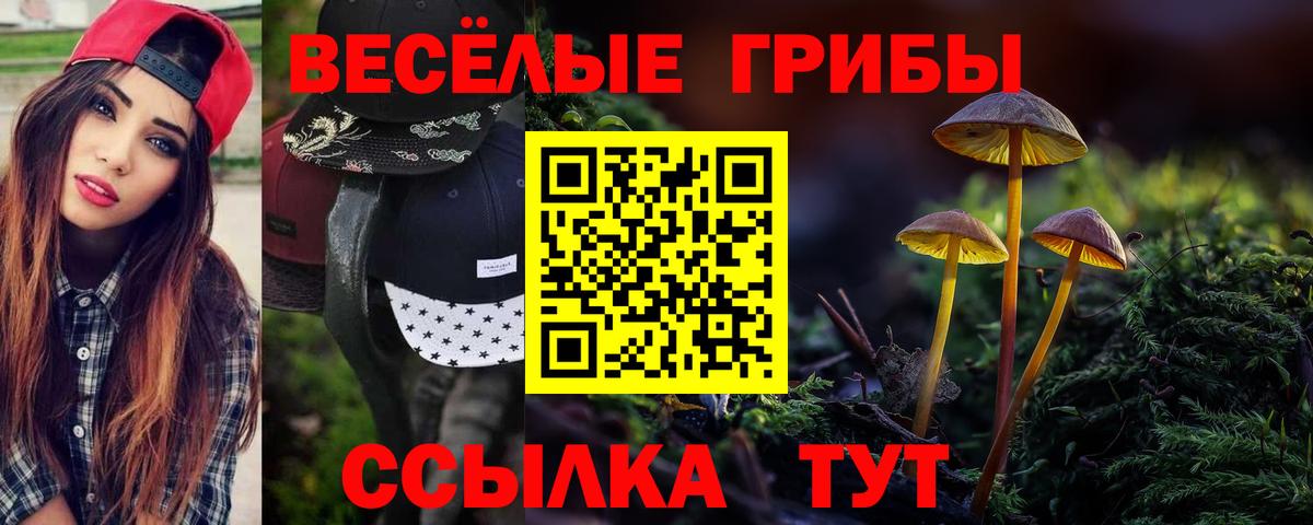 Псилоцибиновые грибы ЛСД  Галлюциногенные грибы Psilocybine cubensis  Вход с VPN  Медногорск 